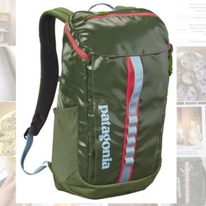 Patagonia Black Hole Backpack
